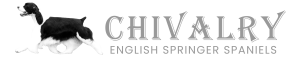 Chivalry-Springers-Logo-copy